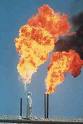 Petrole