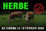 Herbe