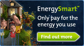Bg_energysmart