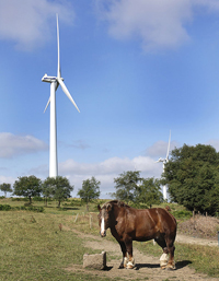 Eoliennebretagne